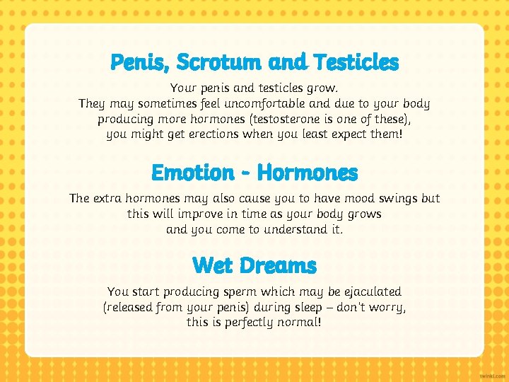 Penis, Scrotum and Testicles Your penis and testicles grow. They may sometimes feel uncomfortable