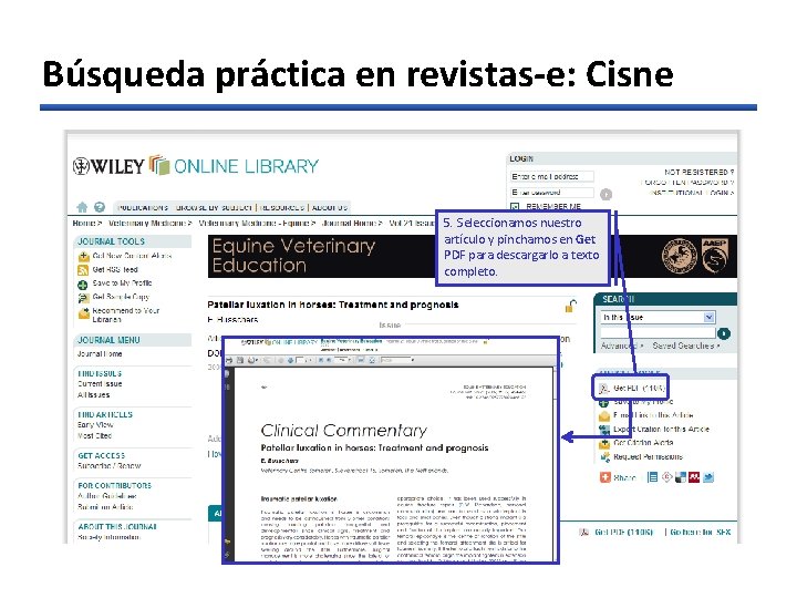 Búsqueda práctica en revistas-e: Cisne 5. Seleccionamos nuestro artículo y pinchamos en Get PDF