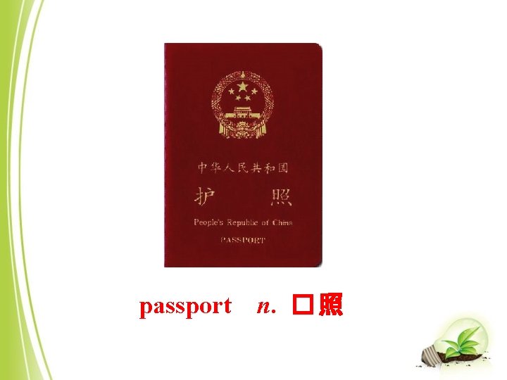 passport n. � 照 