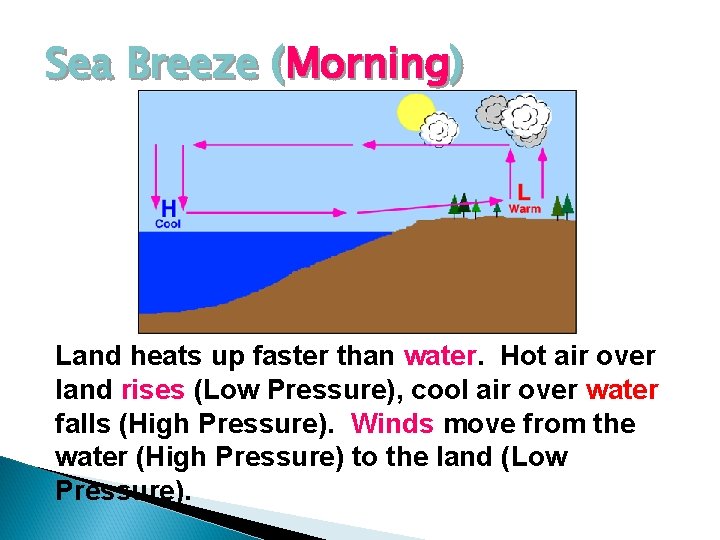 Sea Breeze (Morning) Land heats up faster than water. Hot air over land rises