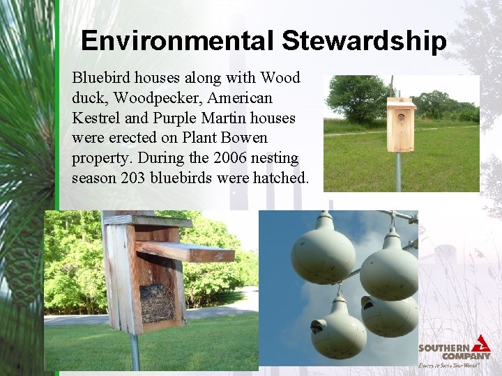 Environmental Stewardship Bluebird houses along with Wood duck, Woodpecker, American Kestrel and Purple Martin