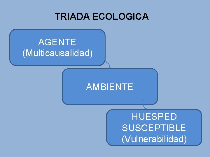 TRIADA ECOLOGICA AGENTE (Multicausalidad) AMBIENTE HUESPED SUSCEPTIBLE (Vulnerabilidad) 