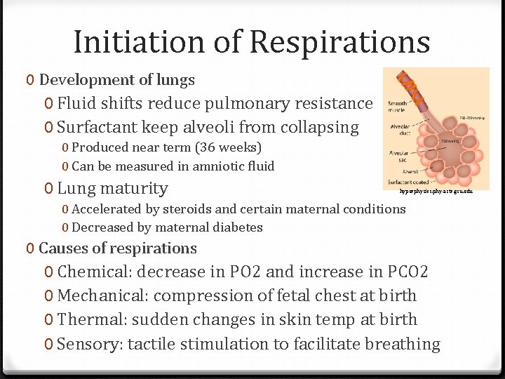 Initiation of Respirations 0 Development of lungs 0 Fluid shifts reduce pulmonary resistance 0