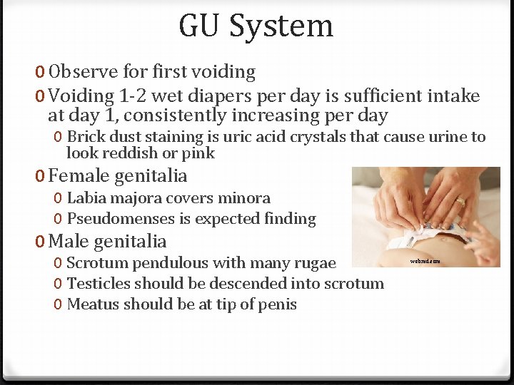 GU System 0 Observe for first voiding 0 Voiding 1 -2 wet diapers per