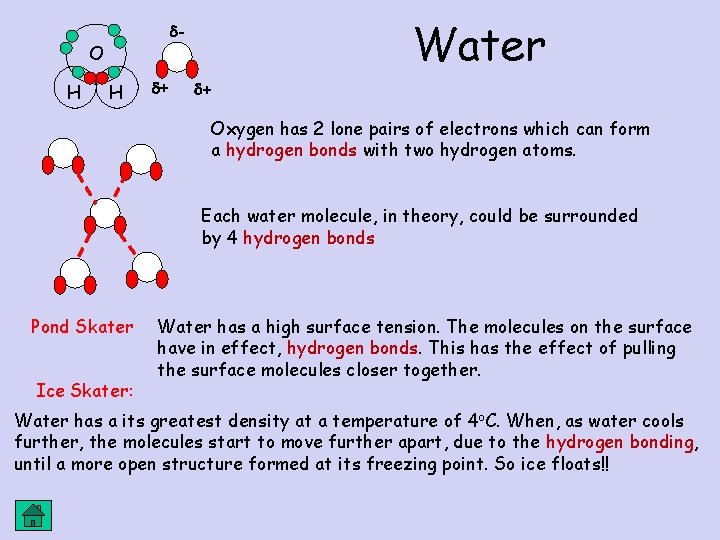 O H Water - H + + Oxygen has 2 lone pairs of electrons