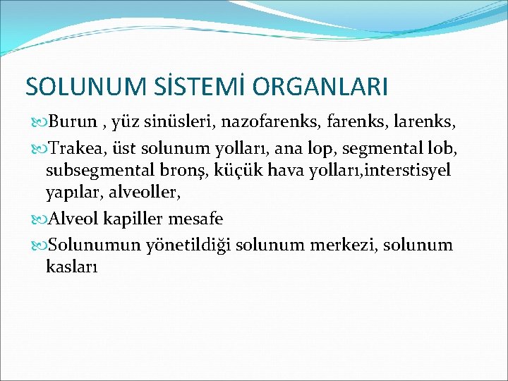 SOLUNUM SİSTEMİ ORGANLARI Burun , yüz sinüsleri, nazofarenks, larenks, Trakea, üst solunum yolları, ana