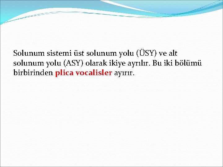 Solunum sistemi üst solunum yolu (ÜSY) ve alt solunum yolu (ASY) olarak ikiye ayrılır.