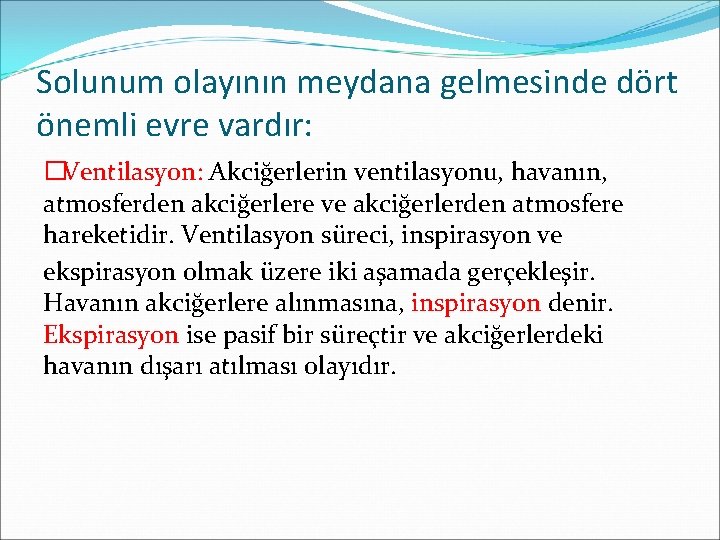 Solunum olayının meydana gelmesinde dört önemli evre vardır: �Ventilasyon: Akciğerlerin ventilasyonu, havanın, atmosferden akciğerlere