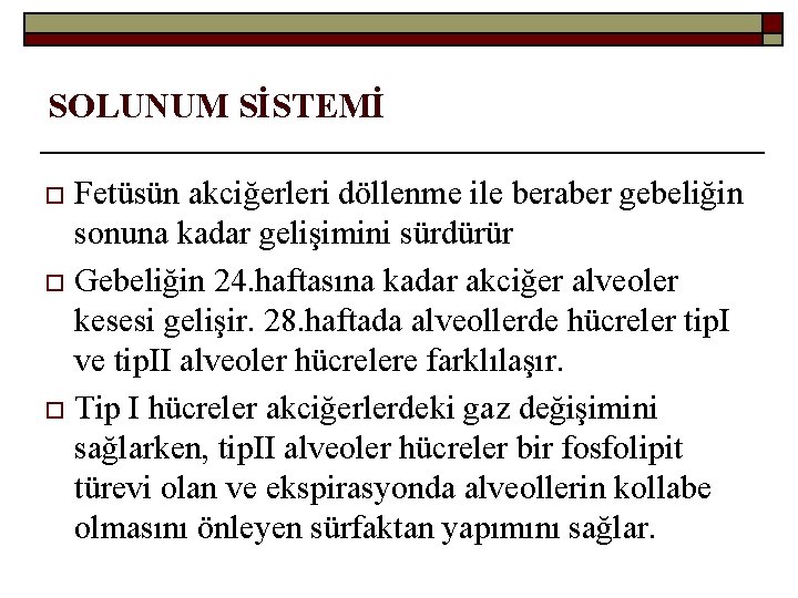 SOLUNUM SİSTEMİ Fetüsün akciğerleri döllenme ile beraber gebeliğin sonuna kadar gelişimini sürdürür o Gebeliğin