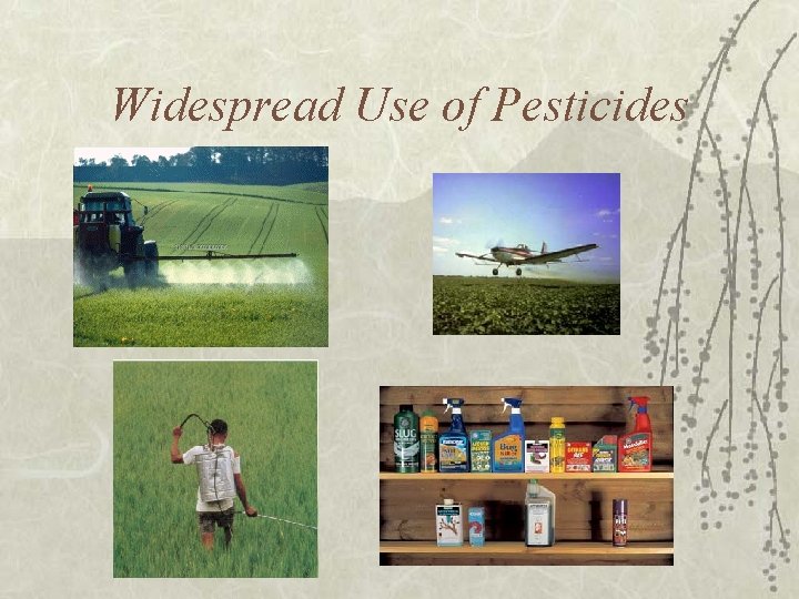 Widespread Use of Pesticides 