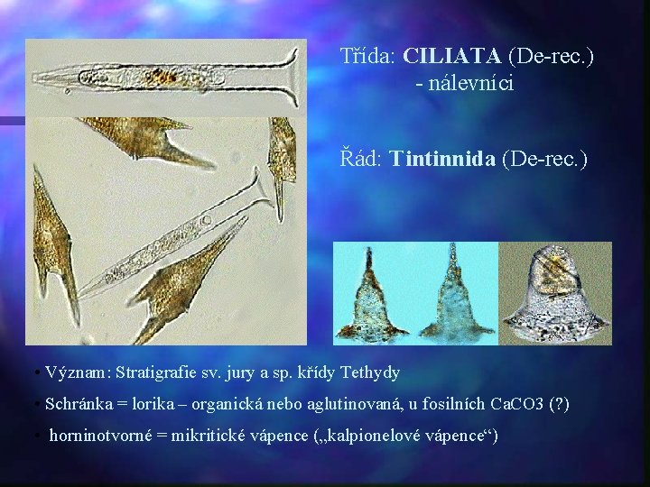 Třída: CILIATA (De-rec. ) - nálevníci Řád: Tintinnida (De-rec. ) • Význam: Stratigrafie sv.
