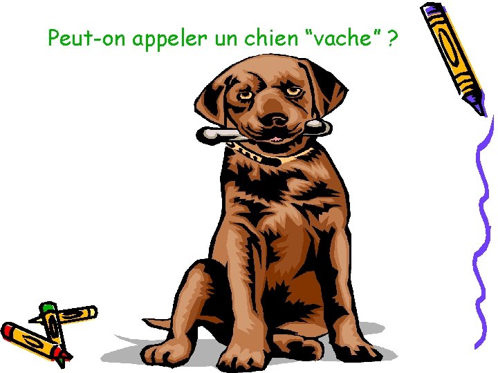 Peut-on appeler un chien “vache” ? 