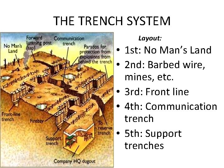 THE TRENCH SYSTEM Layout: • 1 st: No Man’s Land • 2 nd: Barbed