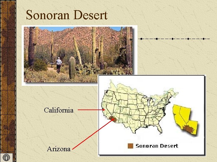 Sonoran Desert California Arizona Sonoran Desert California Arizona