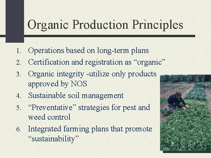 Organic Production Principles 1. Operations based on long-term plans 2. Certification and registration as