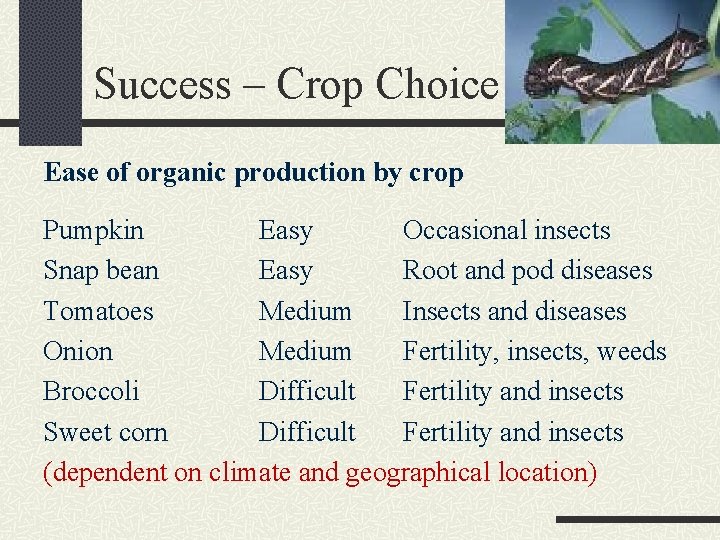 Success – Crop Choice Ease of organic production by crop Pumpkin Easy Occasional insects