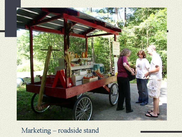 Marketing – roadside stand 