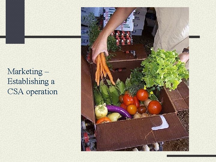 Marketing – Establishing a CSA operation 