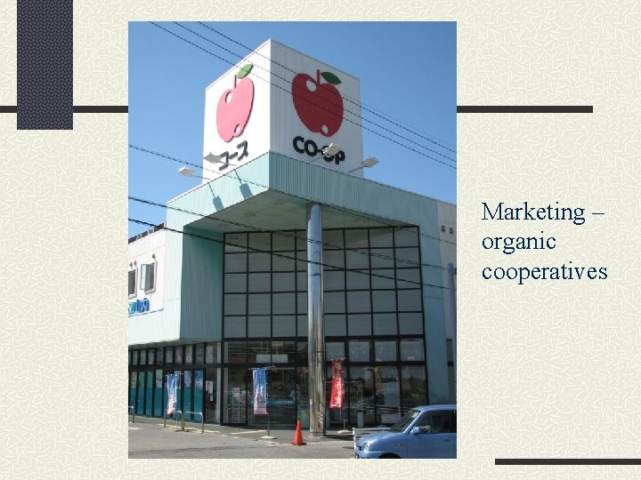 Marketing – organic cooperatives 