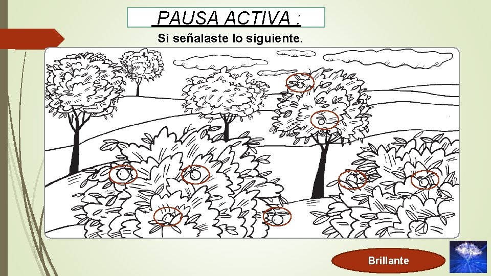 PAUSA ACTIVA : Si señalaste lo siguiente. Brillante 