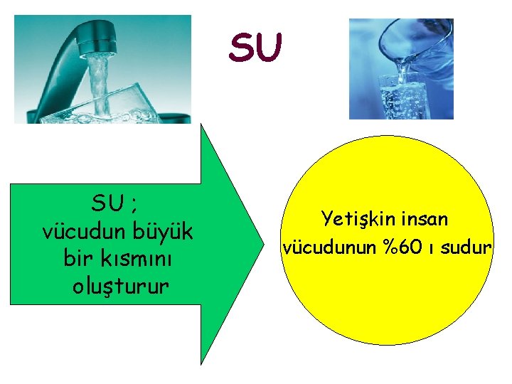 SU SU ; vücudun büyük bir kısmını oluşturur Yetişkin insan vücudunun %60 ı sudur