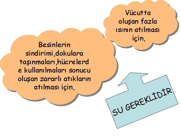 Besinlerin sindirimi, dokulara taşınmaları, hücrelerd e kullanılmaları sonucu oluşan zararlı atıkların atılması için, Vücutta