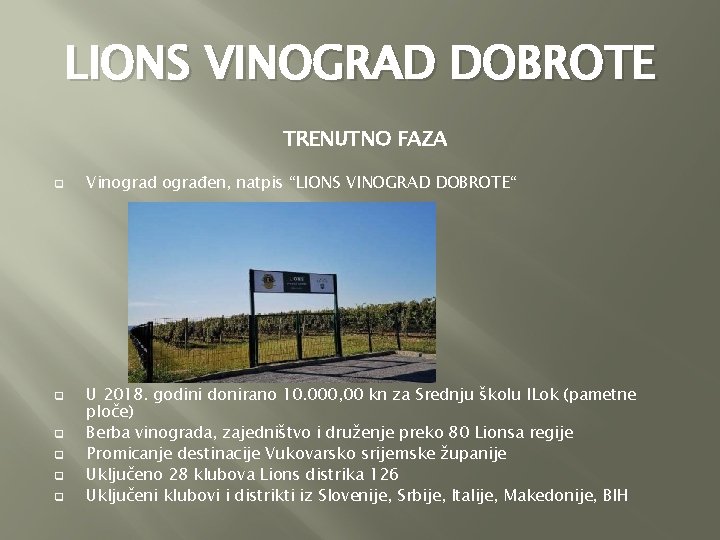 LIONS VINOGRAD DOBROTE TRENUTNO FAZA q q q Vinograd ograđen, natpis “LIONS VINOGRAD DOBROTE“