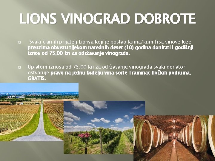 LIONS VINOGRAD DOBROTE q q Svaki član ili prijatelj Lionsa koji je postao kuma/kum