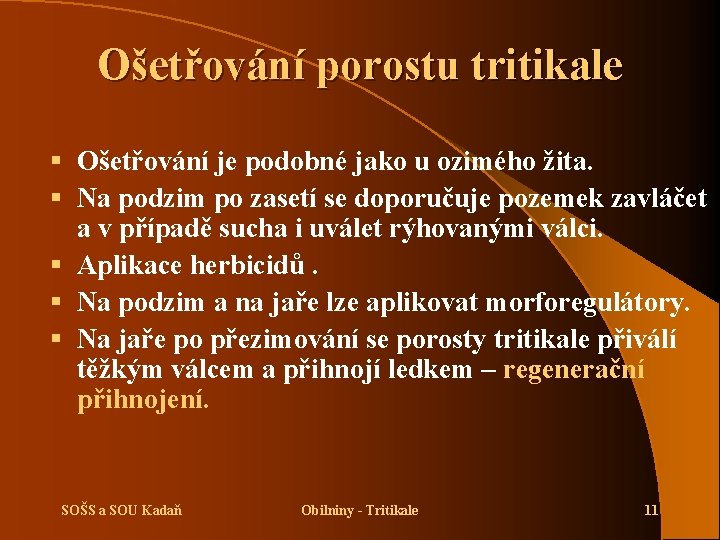 Ošetřování porostu tritikale § Ošetřování je podobné jako u ozimého žita. § Na podzim