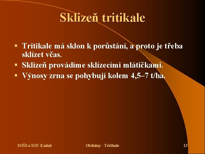 Sklizeň tritikale § Tritikale má sklon k porůstání, a proto je třeba sklízet včas.