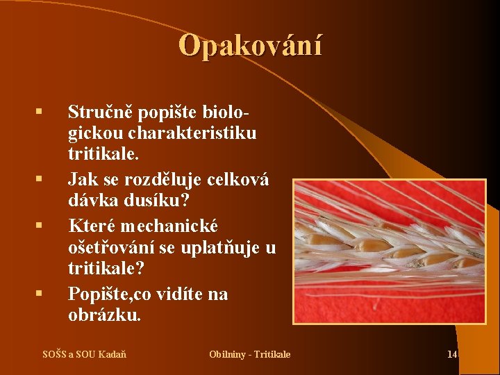 Opakování § § Stručně popište biologickou charakteristiku tritikale. Jak se rozděluje celková dávka dusíku?