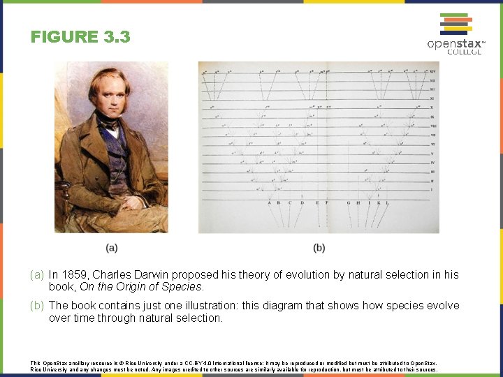 FIGURE 3. 3 (a) In 1859, Charles Darwin proposed his theory of evolution by