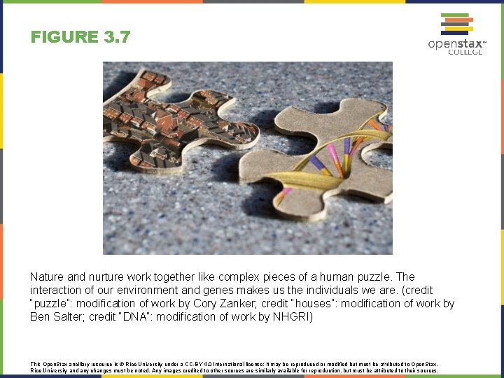 FIGURE 3. 7 Nature and nurture work together like complex pieces of a human