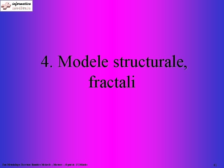 4. Modele structurale, fractali Curs Metodologia Cercetarii Stiintifice Medicale – Masterat – © prof.