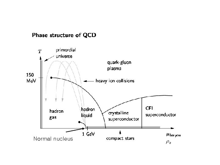 Normal nucleus 