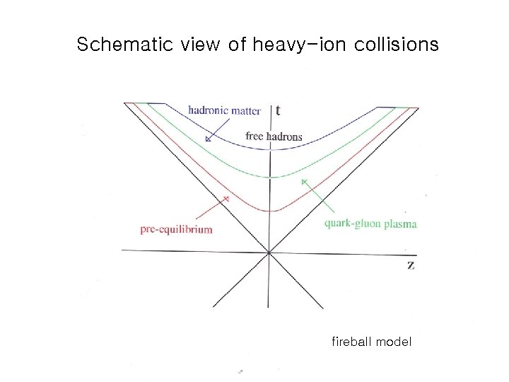 Schematic view of heavy-ion collisions fireball model 