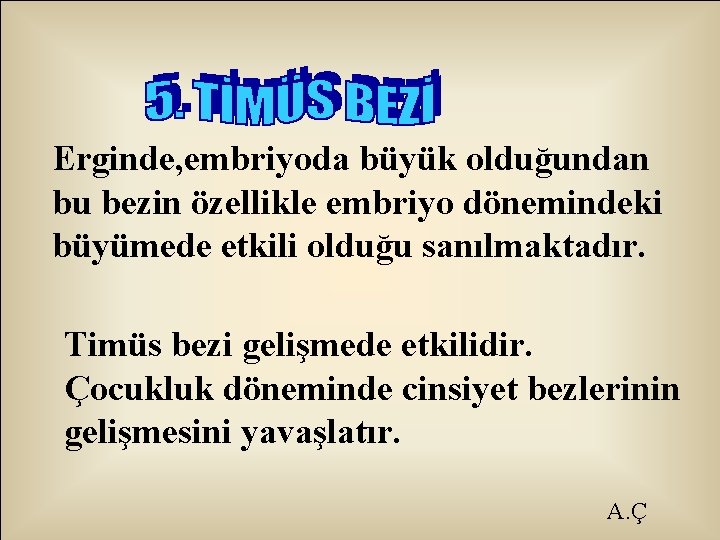 Erginde, embriyoda büyük olduğundan bu bezin özellikle embriyo dönemindeki büyümede etkili olduğu sanılmaktadır. Timüs
