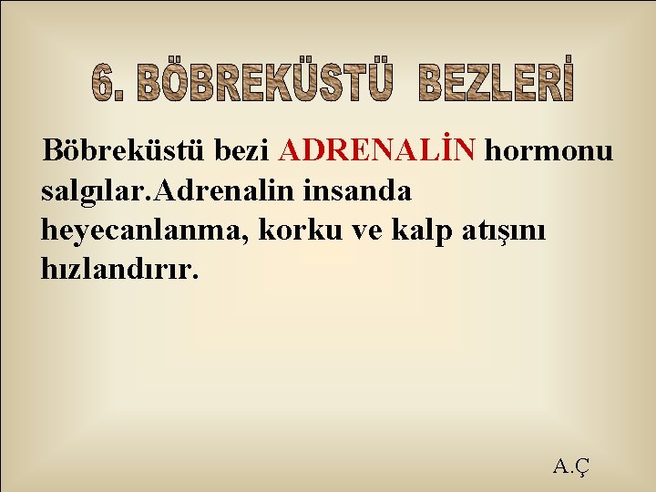 Böbreküstü bezi ADRENALİN hormonu salgılar. Adrenalin insanda heyecanlanma, korku ve kalp atışını hızlandırır. A.