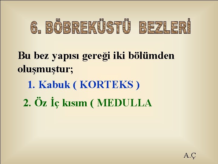Bu bez yapısı gereği iki bölümden oluşmuştur; 1. Kabuk ( KORTEKS ) 2. Öz