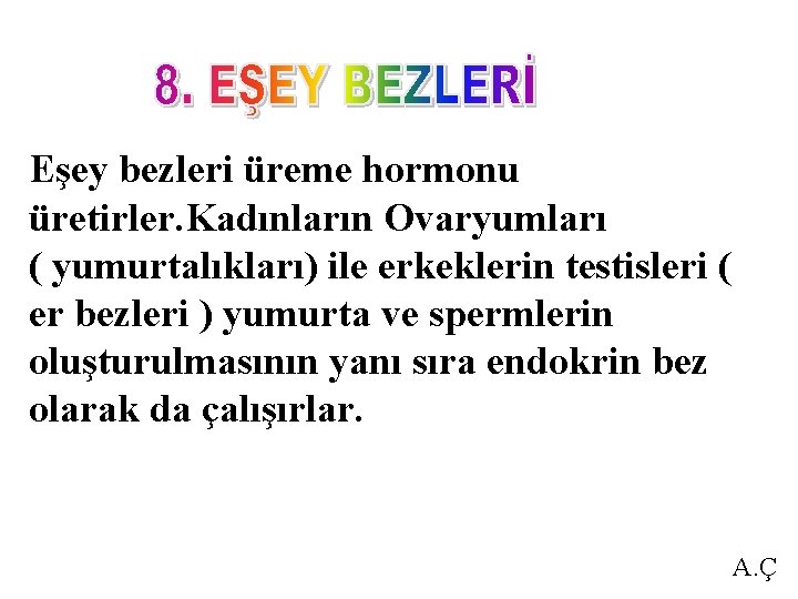 Eşey bezleri üreme hormonu üretirler. Kadınların Ovaryumları ( yumurtalıkları) ile erkeklerin testisleri ( er