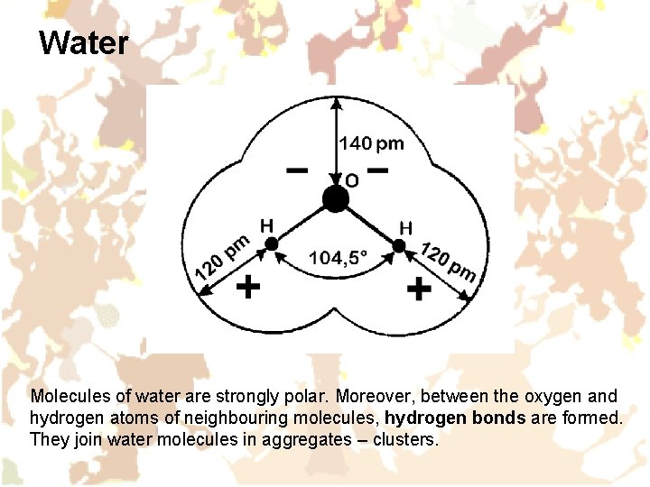 Water Molecules of water are strongly polar. Moreover, between the oxygen and hydrogen atoms