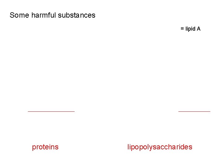 Some harmful substances = lipid A proteins lipopolysaccharides 