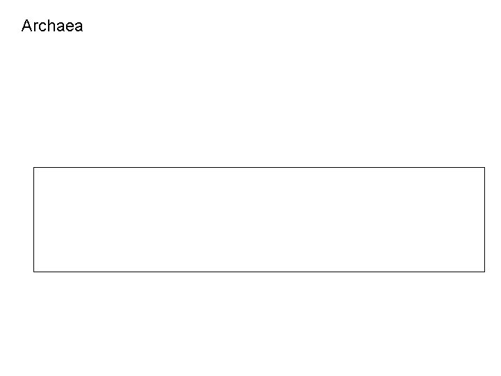 Archaea 