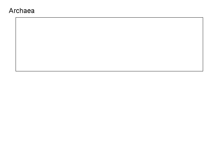 Archaea 