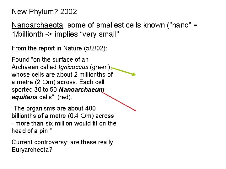 New Phylum? 2002 Nanoarchaeota: some of smallest cells known (“nano” = 1/billionth -> implies