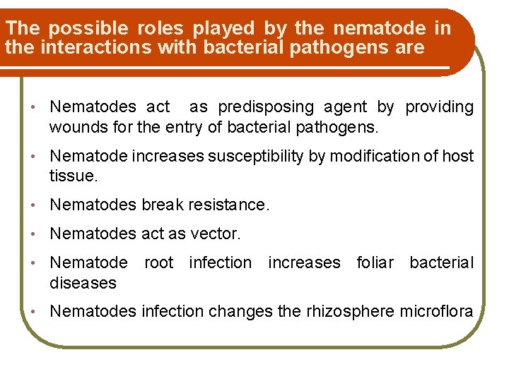 The possible roles played by the nematode in the interactions with bacterial pathogens are