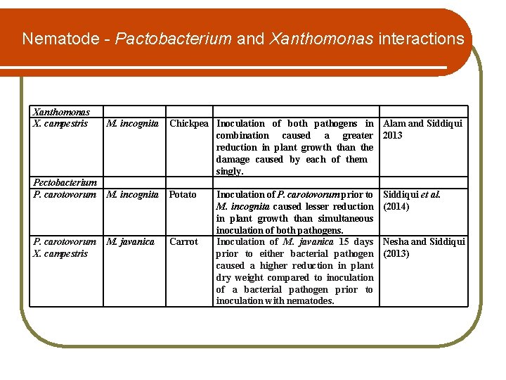 Nematode - Pactobacterium and Xanthomonas interactions Xanthomonas X. campestris M. incognita Chickpea Inoculation of