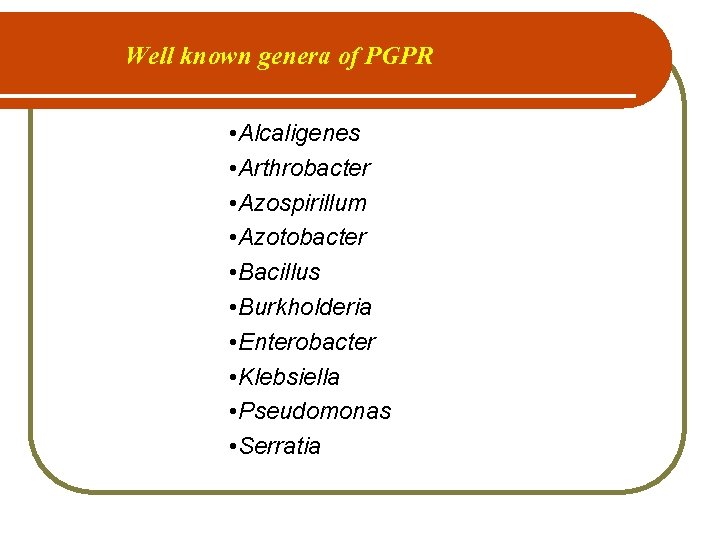 Well known genera of PGPR • Alcaligenes • Arthrobacter • Azospirillum • Azotobacter •