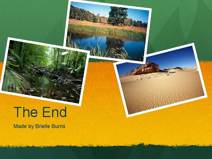 The End Made by Brielle Burns 