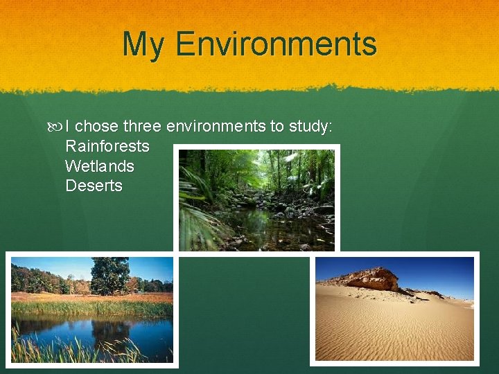 My Environments I chose three environments to study: Rainforests Wetlands Deserts 